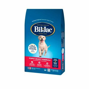 Bil Jac Puppy