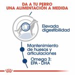 royal canin maxi adulto 15 kgs