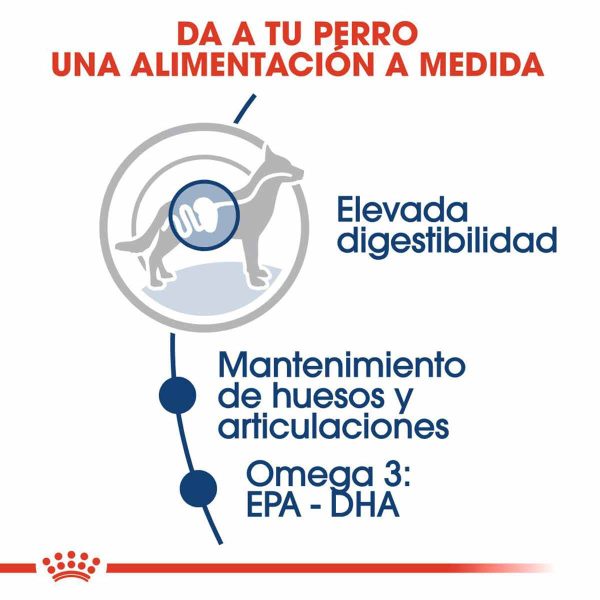 royal canin maxi adulto 15 kgs