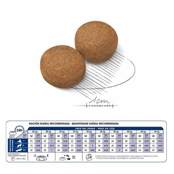 royal canin maxi adulto 15 kgs