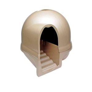 Baño Domo XXL con Escalera Higiene