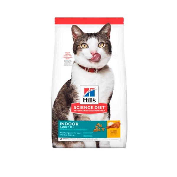 Hills_Felino_Indoor_11