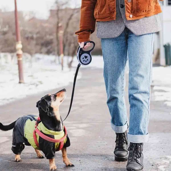 correa retractil 5 metros negro y gris