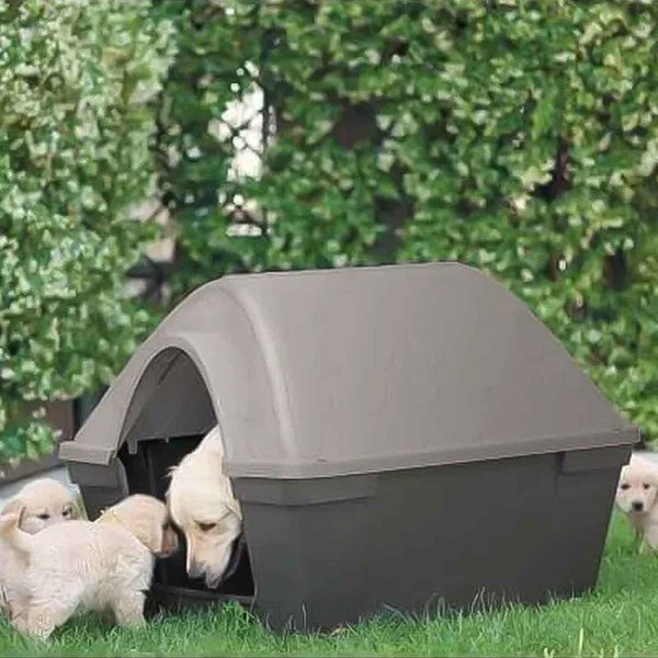 Casa-Cani-Mediana-Perro_2 casa cani mediana