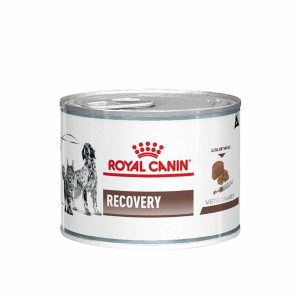 royal canin lata recovery