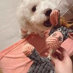 Juguete Peluche Burro Gris/Rosado