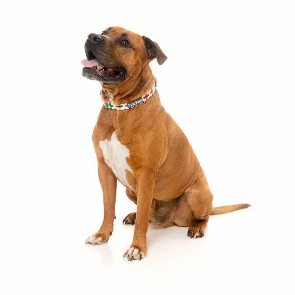 Fuzzyard Collar Perro Jenga