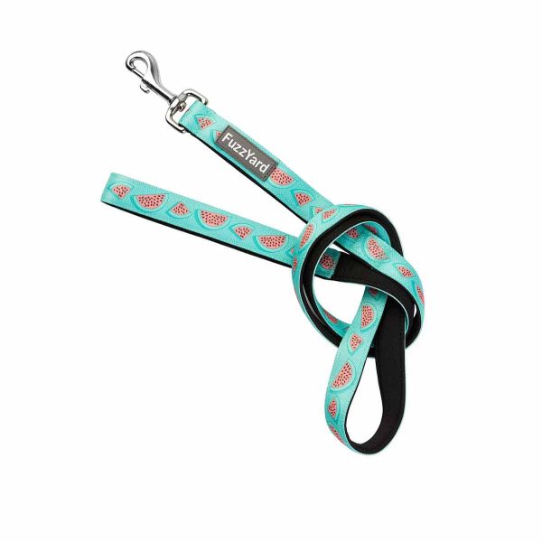Fuzzyard-Correa-para-Perros-Summer-Punch Fuzzyard Correa para Perros Summer Punch