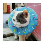 Collar Isabelino Inflable Dona Azul