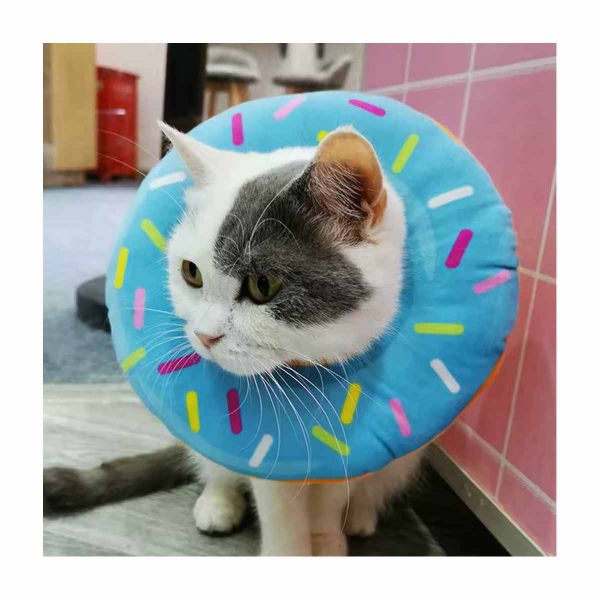 Collar Isabelino Inflable Dona Azul