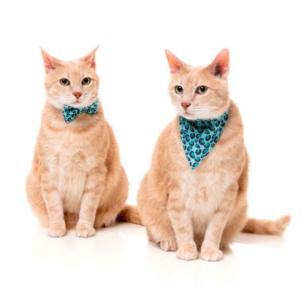 Fuzzyard Pack Collares Cat Wild One Aqua