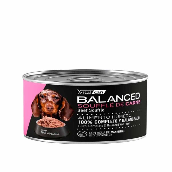 Balanced Lata Perro Cachorro Soufle de carne