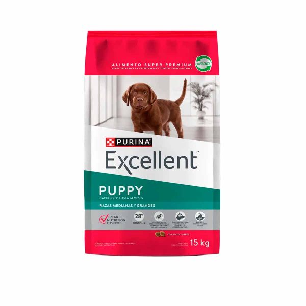 Excellent Cachorro de Razas Medianas y Grandes