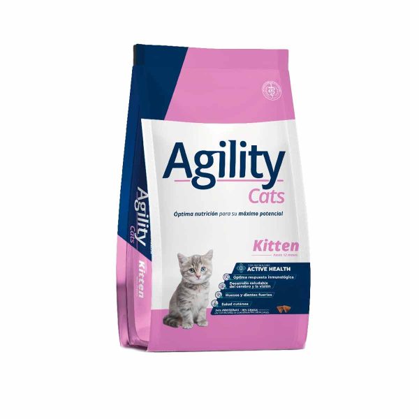 Agility Gatitos