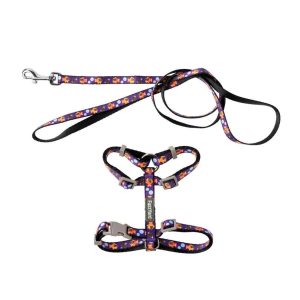 Fuzzyard Arnés y Correa Gato Caturday Night Fever