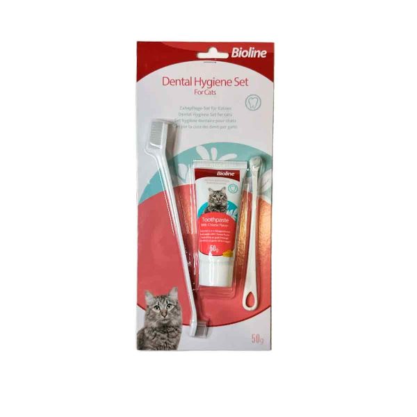Kit Higiene Dental Gatos Sabor Cheese