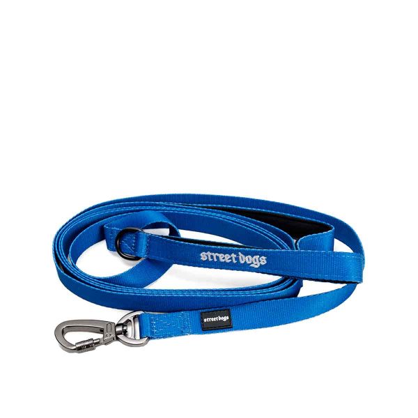 Street Dogs Correa de adiestramiento 3 metros Blue