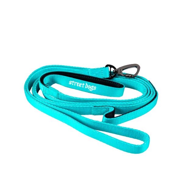 Street Dogs Correa Táctica de Adiestramiento 3 Metros Turquese