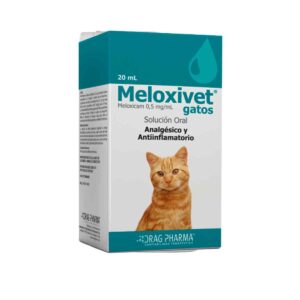 Meloxivet Gato