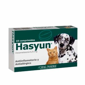 Hasyun 10 Comprimidos
