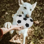 JUGUETE PELUCHE DISCO VOLADOR CHIRRIANTE FUTBOL - Imagen 2