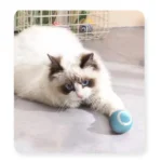 Wonder Cat Pelota Inteligente Azul Para Gatos - Imagen 2