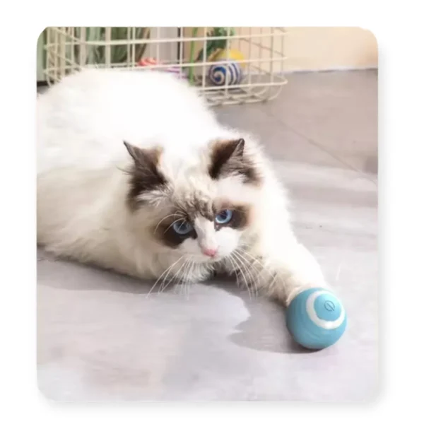 Wonder Cat Pelota Inteligente Azul Para Gatos - Imagen 2